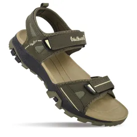 Men's Sports Sandals - WC4444 Olive Beige